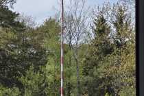 IMG-20260504-WA0003