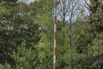 IMG-20260504-WA0007