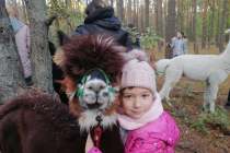 received_246448188425605
