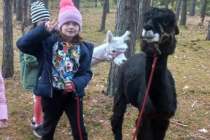 received_851909816425810