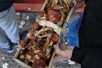 IMG-20221025-WA0007