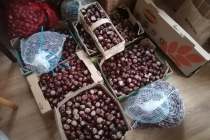 received_185786294568356
