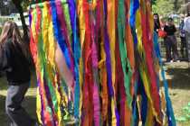 IMG-20260528-WA0101