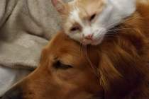 IMG_20220309_213734