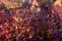 IMG_20220309_213738