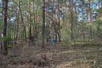 IMG-20260506-WA0034