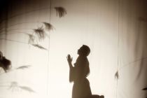 DSC8329-gigapixel-standard-scale-2_00x