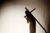 DSC8351-gigapixel-standard-scale-2_00x