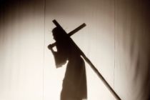 DSC8352-gigapixel-standard-scale-2_00x