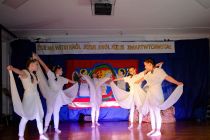 DSC8437-gigapixel-standard-scale-2_00x