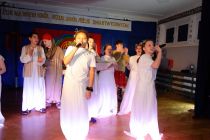 DSC8473-gigapixel-standard-scale-2_00x